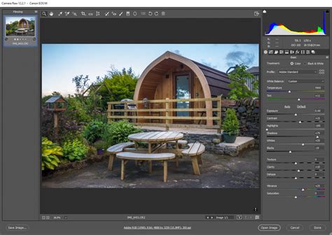 RAW Converter .